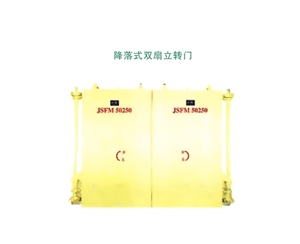 湖南降落式双扇立转门